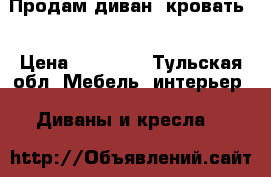 Продам диван  кровать. › Цена ­ 19 000 - Тульская обл. Мебель, интерьер » Диваны и кресла   